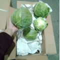 Chinese beijing cabbage export / fresh vegetables mixed container loading